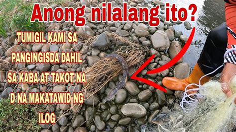 iyot sa ilog|'iyot sa ilog' Search .